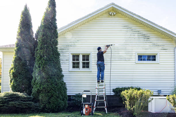 Best Deck and Patio Pressure Washing in Worth, IL
